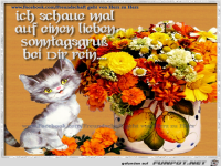 Sonntagsgruss