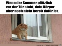 B�ser Sommer