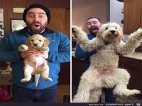 Bisschen gr��er geworden