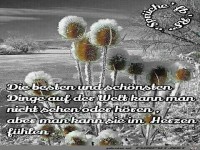 Die besten und schoensten Dinge