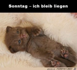 Sonntag.jpg auf www.funpot.net