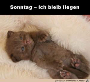 Begrüßungsbild