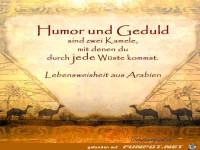 Humor und Geduld