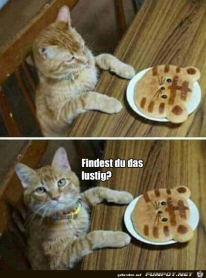 Und-das-findest-du-wohl-auch-noch-lustig?.jpg auf www.funpot.net