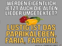 Alte Lieder umtexten