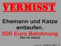 Belohnung gibt es nur fr die Katze