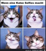Katze-macht-Selfies.jpg auf www.funpot.net
