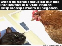 Tiere sind lustig