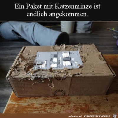 Paket-mit-Katzenminze.jpg von Lina