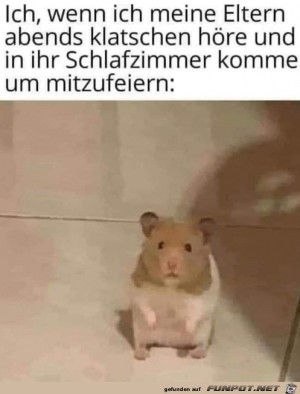 Was-sehen-meine-Augen?.jpg auf www.funpot.net