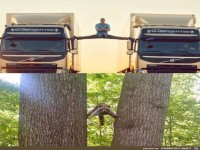 Das kann der Waschb�r auch