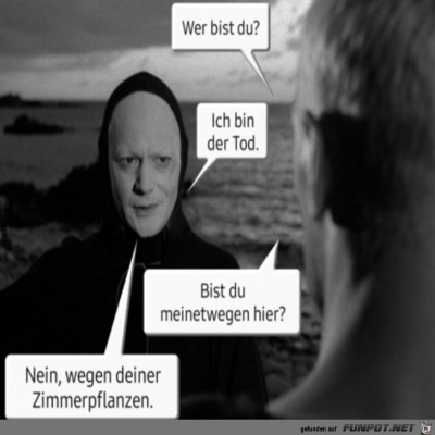 Deine-Zimmerpflanzen.jpg von Supersusi
