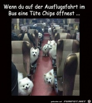 Da-guckt-jeder.jpg auf www.funpot.net