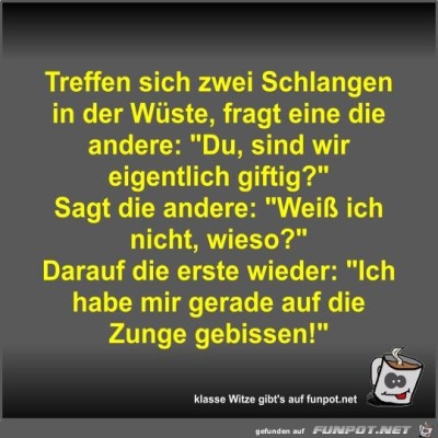 Treffen-sich-zwei-Schlangen-in-der-W&uuml;ste.jpg von Fossy