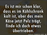 Im K�hlschrank
