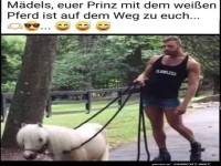 Der Prinz