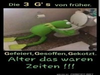 Die 3 G's