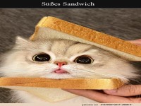 S��es Sandwich