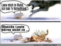 �berraschende Wende zwischen Hase und Wolf