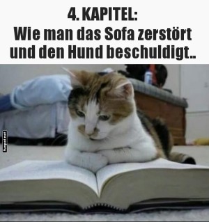 Eine-Katze-liest-ein-Buch-über-Sofatipps.jpg auf www.funpot.net