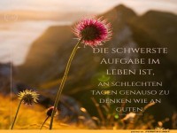 Nachdenkliche Blumenphilosophie