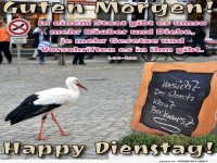 Verspteter Storch serviert Frhstck!