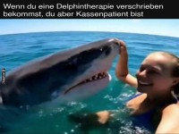 Delphintherapie auf Kassenpatientenart