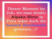 Alpakas statt Brochaos: Karrieregedanken