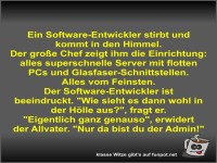 Ein Software-Entwickler stirbt und kommt in den Himmel