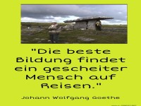 Die beste Bildung findet