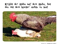 Wetterhahn im Einsatz!