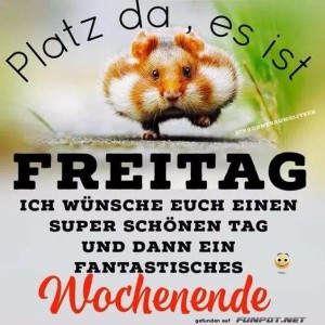 fun-Bild: Ein Hamster auf der &Uuml;berholspur zum Wochenende!