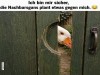 weiter