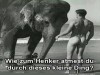 weiter