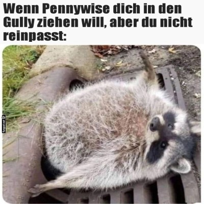 Wenn-der-Gully-dein-Fitnessstudio-wird.jpg von Traumfrau