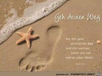 Geh deinen Weg