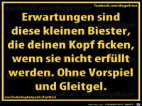 diegeilsten Erwartungen