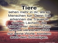Tiere