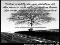 das wichtigste am Leben ist