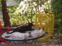 fuer Bildgenerator freigegeben 000000