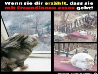 Wenn sie erzählt