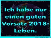 Guter Vorsatz f�r 2018