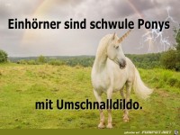 Einh�rner