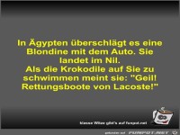 In �gypten �berschl�gt es eine Blondine mit dem Auto
