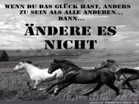 Wenn du das Glueck hast