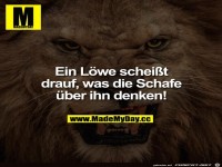 Ein L�we