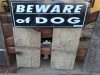 Was ist das denn f�r ein Hund?