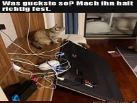 Mach ihn halt richtig fest