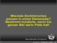 Wieviele Eichh�rnchen passen in einen Damenslip?