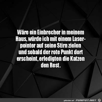 Die-Katzen-werden-das-erledigen.jpg von Leya